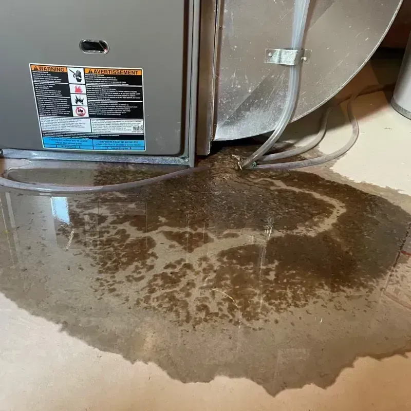 Appliance Leak Cleanup in Franklin, WV